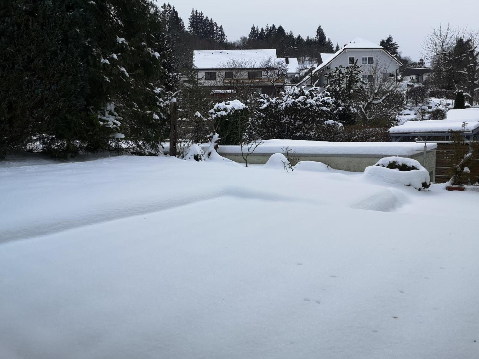Ferienwohnung In Waldrandlage In Nationalpark Schleiden / Eifel Kültér fotó