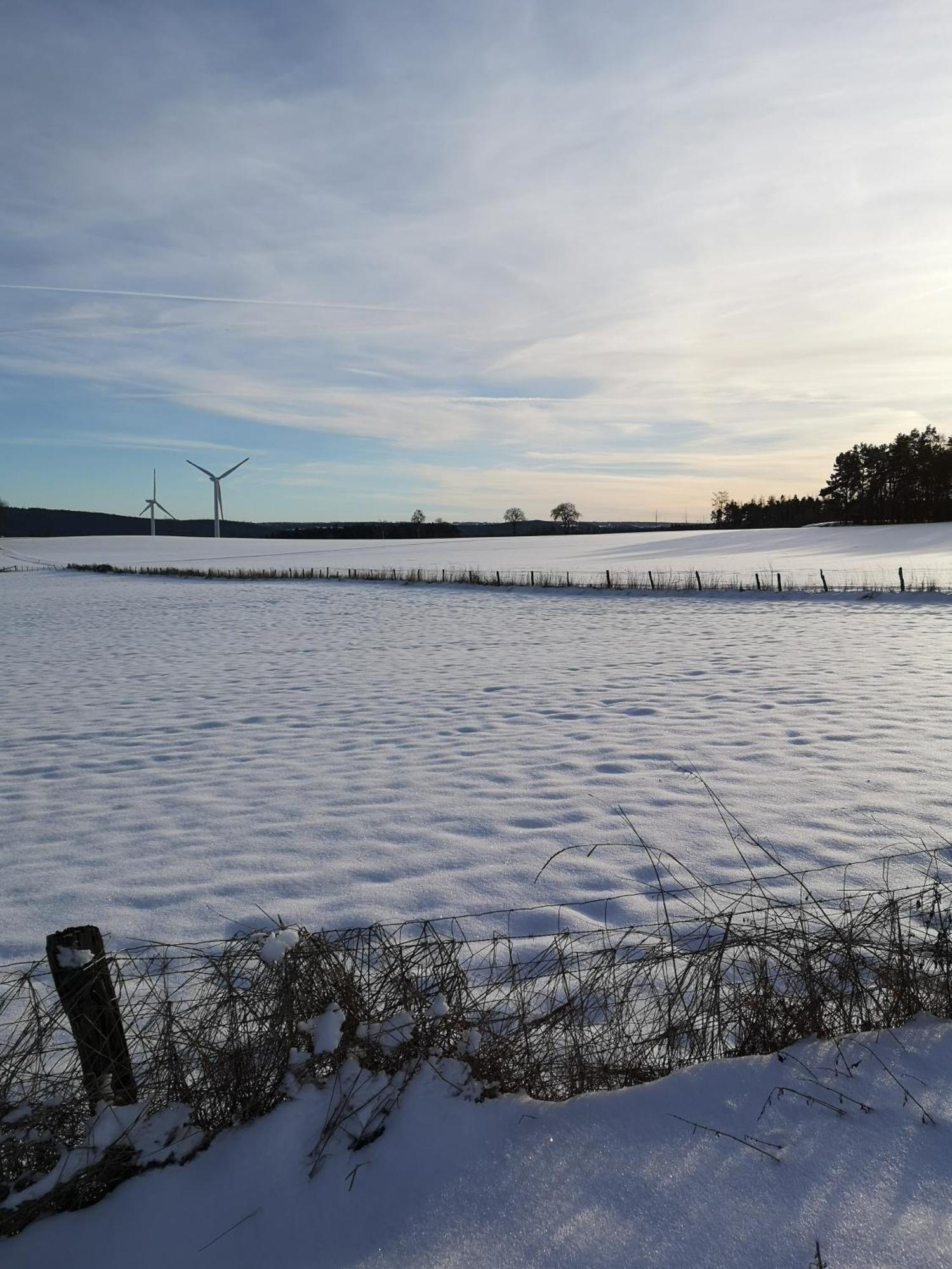 Ferienwohnung In Waldrandlage In Nationalpark Schleiden / Eifel Kültér fotó