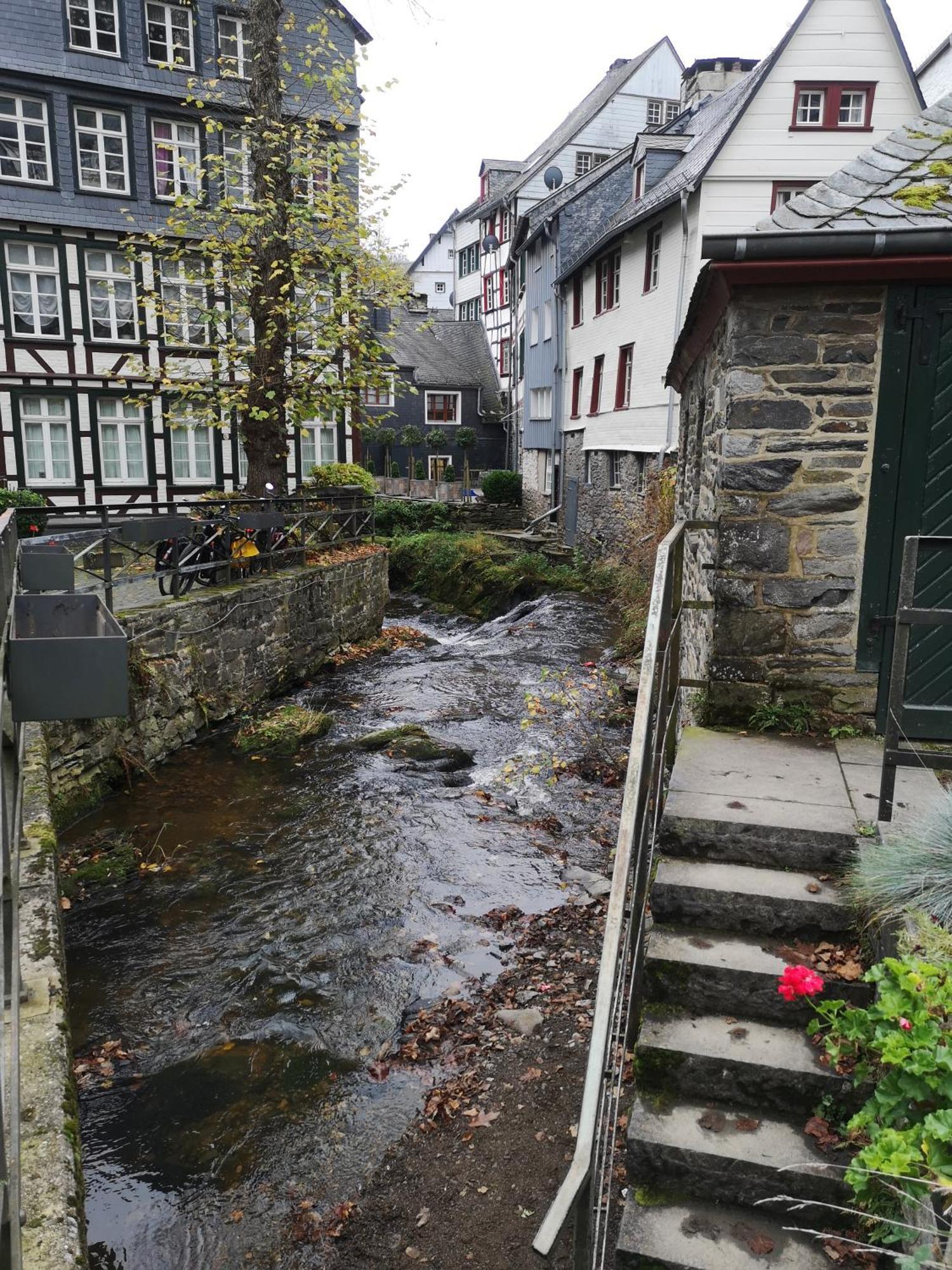 Ferienwohnung In Waldrandlage In Nationalpark Schleiden / Eifel Kültér fotó