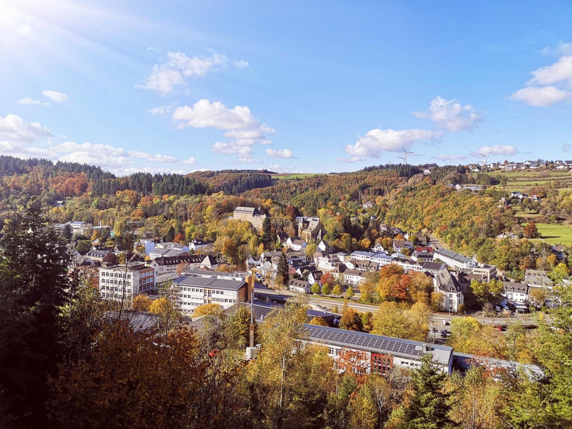 Ferienwohnung In Waldrandlage In Nationalpark Schleiden / Eifel Kültér fotó